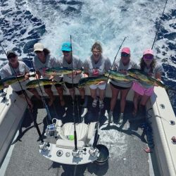 533093120 653847237747878 n