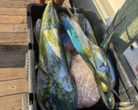 533744429 653870971078838 n