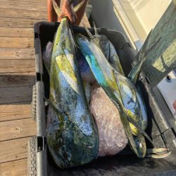 533744429 653870971078838 n