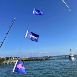 534509147 653847107747891 n