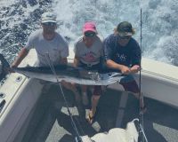 534534574 653847364414532 n