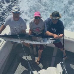 534534574 653847364414532 n